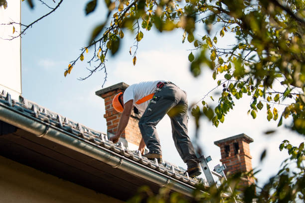 Best Tile Roofing Contractor  in Amery, WI