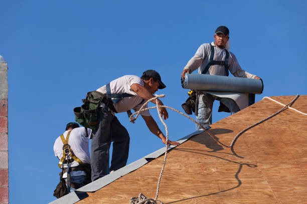Roof Gutter Cleaning in Amery, WI
